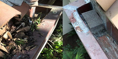 Gutter Cleaning